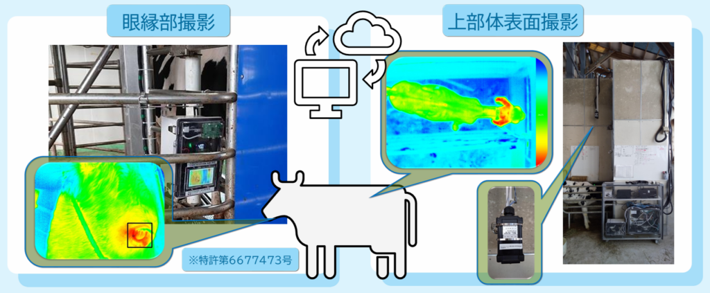 眼縁部撮影、上部体表面撮影