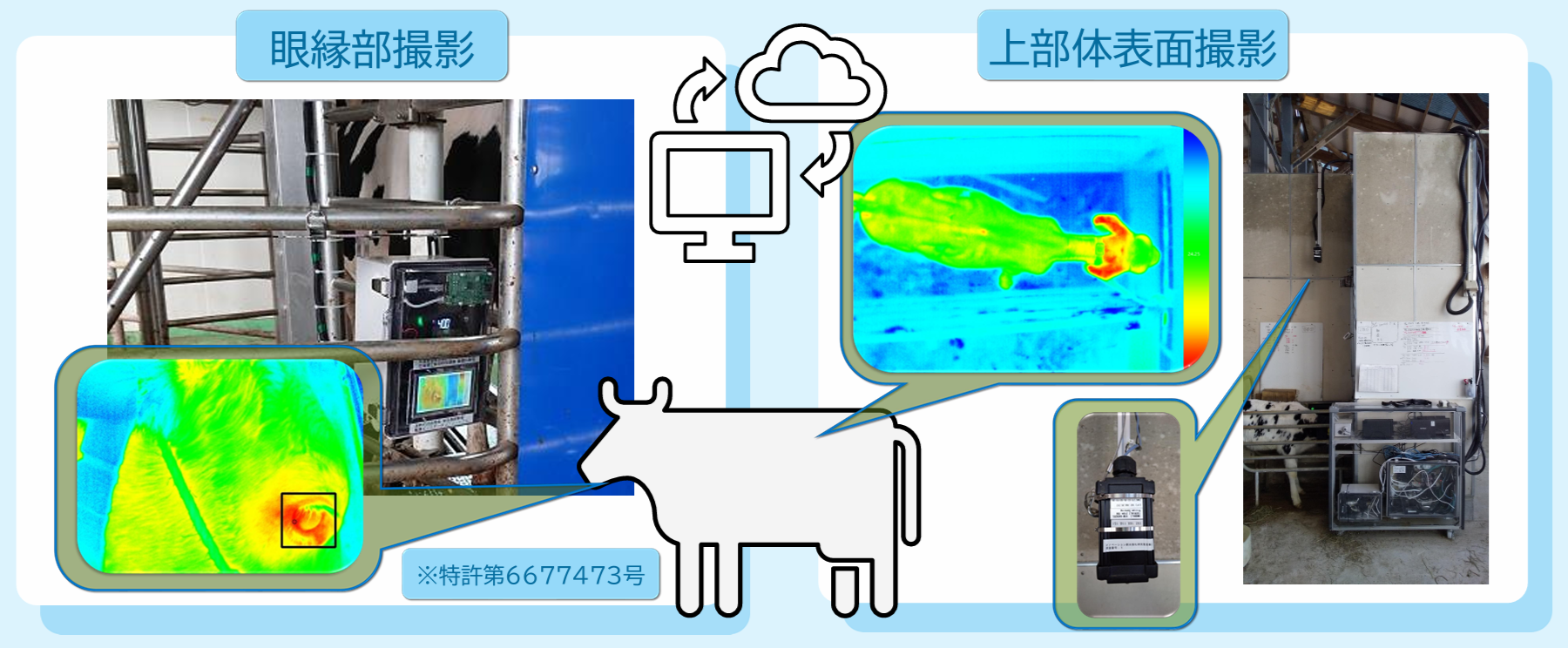 眼縁部撮影、上部体表面撮影